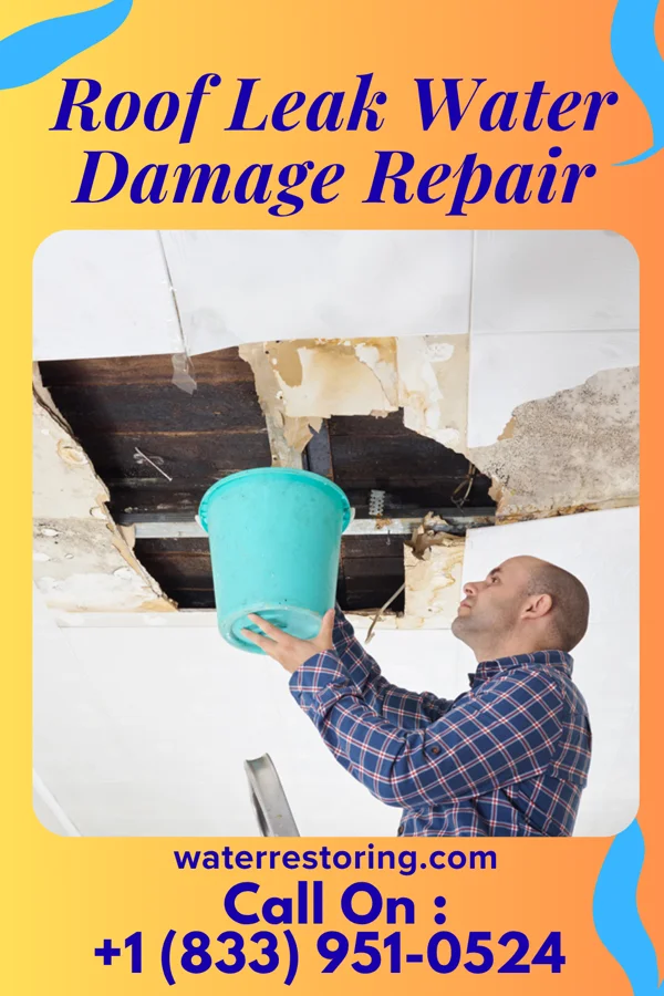 Roof Leak Water Damage Repair in Farmington, DE